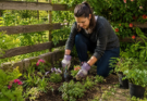 How Regular Gardening Can Help You Stay Active