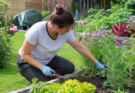How Gardening Can Help Reduce Daily Stress