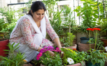 Benefits of Gardening for Mental and Emotional Health