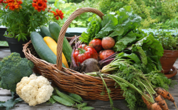 Benefits of Growing Organic Fruits and Vegetables at Home