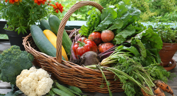 Benefits of Growing Organic Fruits and Vegetables at Home