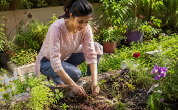 Why Gardening Is a Good Hobby for Personal Growth