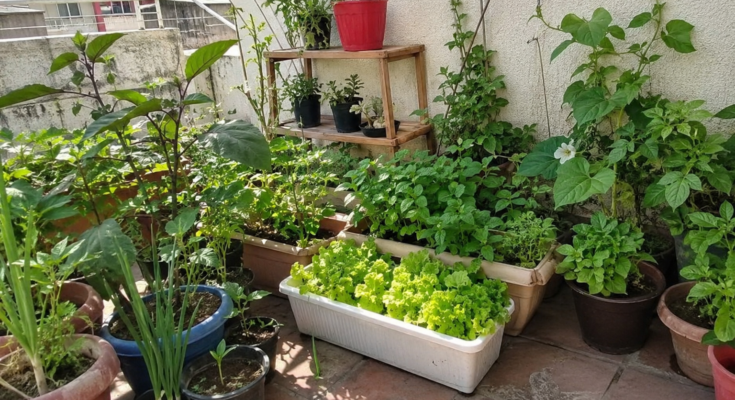 How Beginners Can Start a Simple Home Garden