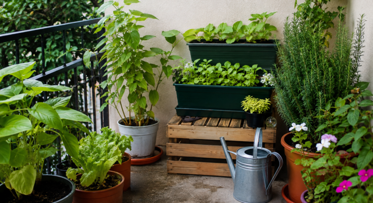 Benefits of Creating a Small Eco Friendly Garden